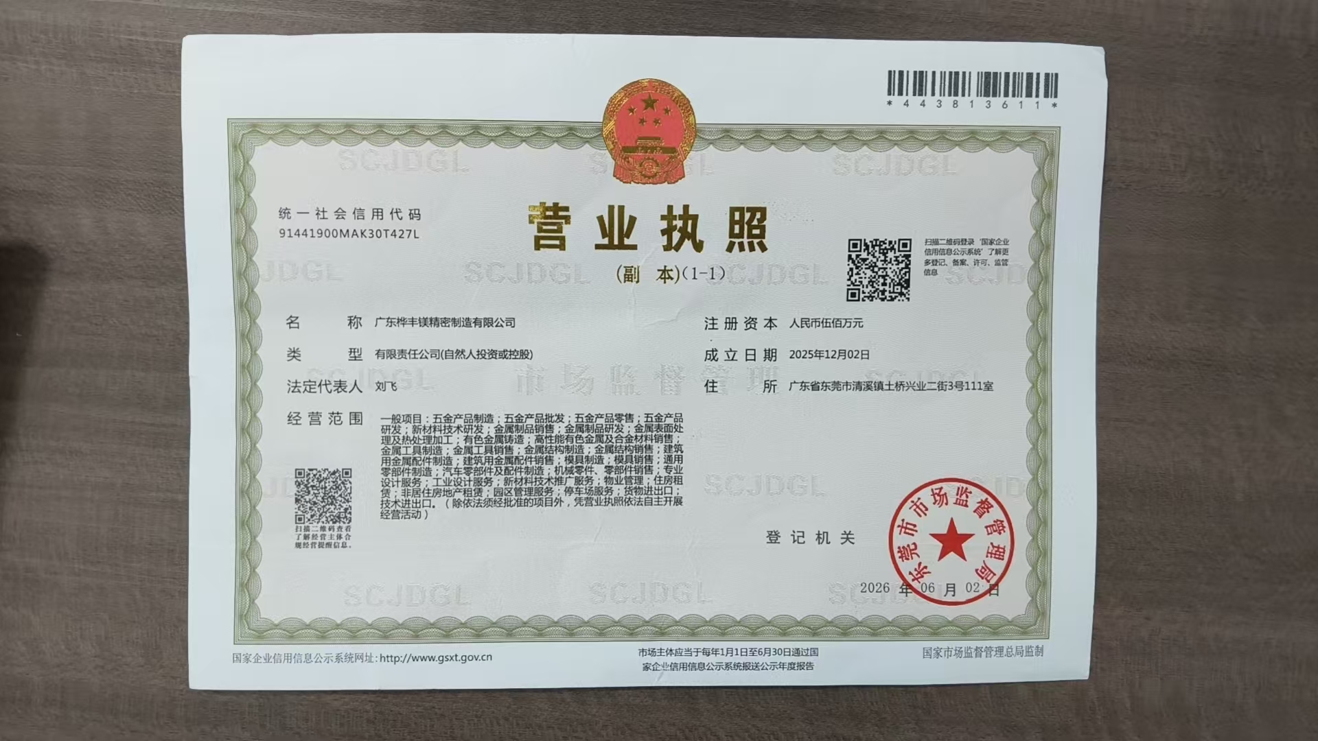 广东桦丰镁精密制造有限公司营业执照